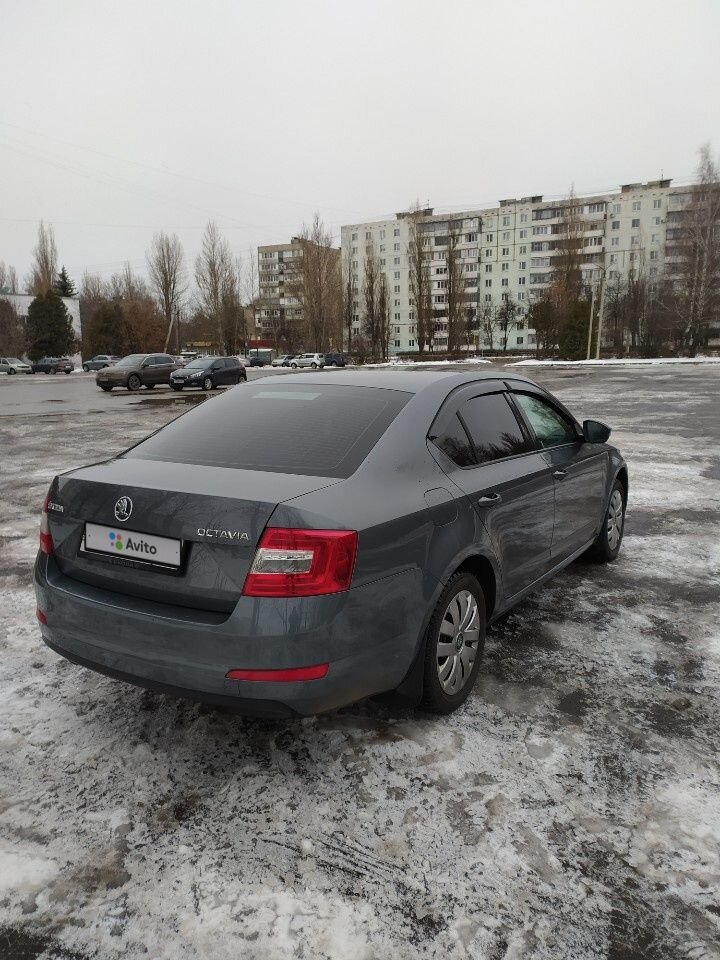 Skoda Octavia: фото владельца