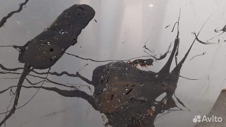 Капот Toyota RAV 4, 2004