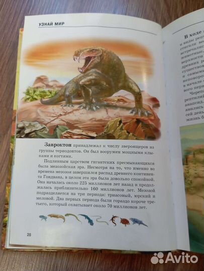 Книга детская динозавры