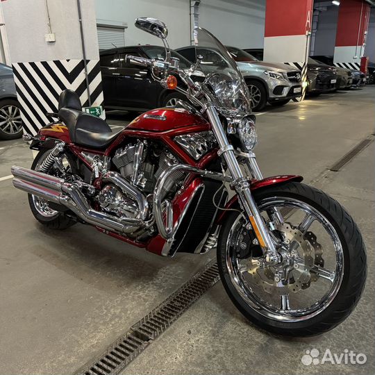 V-ROD CVO