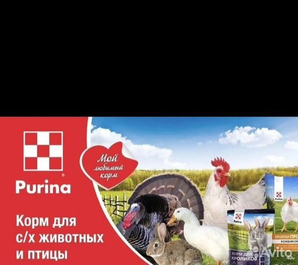 Корма для животных
