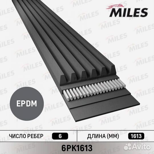 Miles 6PK1613 Ремень поликлиновой
