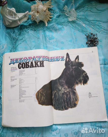 Декоративные собаки (1988)