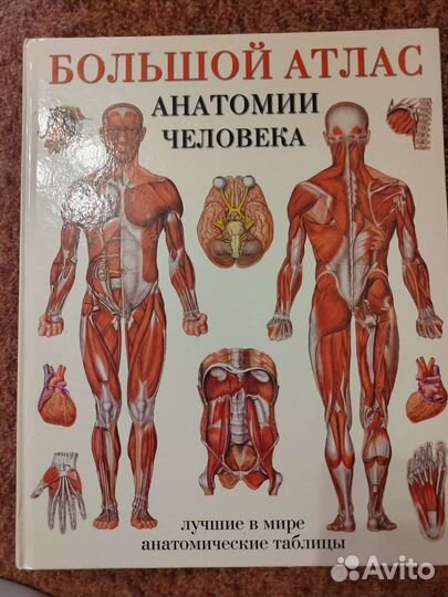 Большой атлас анатомии человека