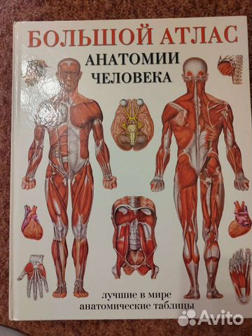 Большой атлас анатомии человека