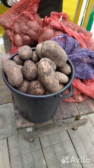 Продукты питания