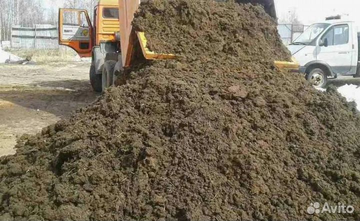 Навоз коровий