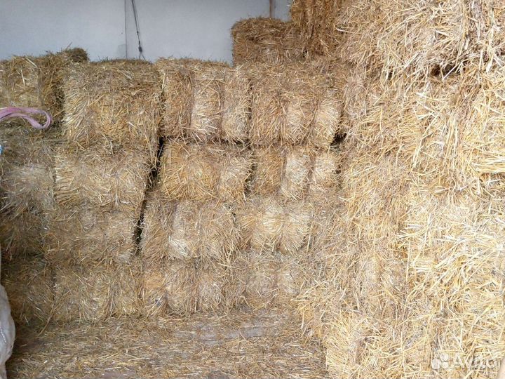 Солома в тюках