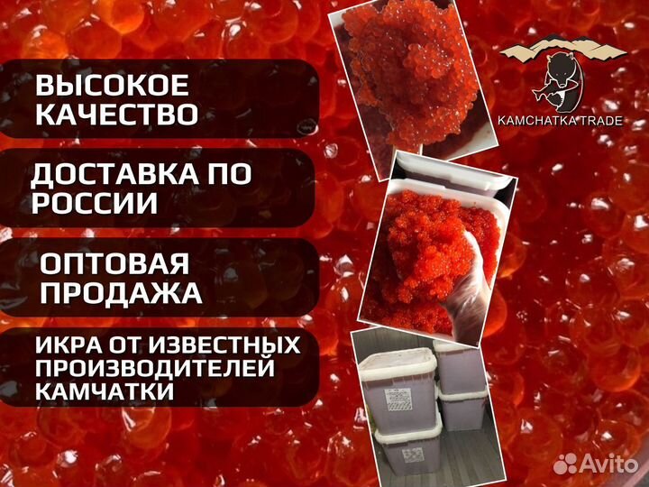 Красная икра оптом