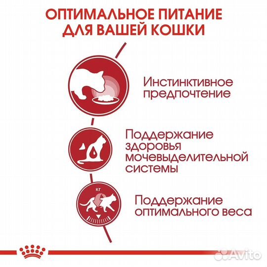 Корм Royal Canin Роял Канин Instinctive в желе для