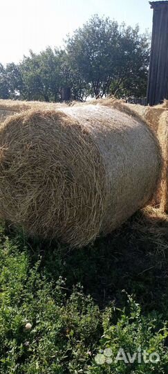 Солома в рулонах