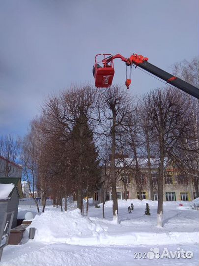 Услуги спецтехники
