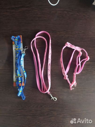 Шлейка для кошки