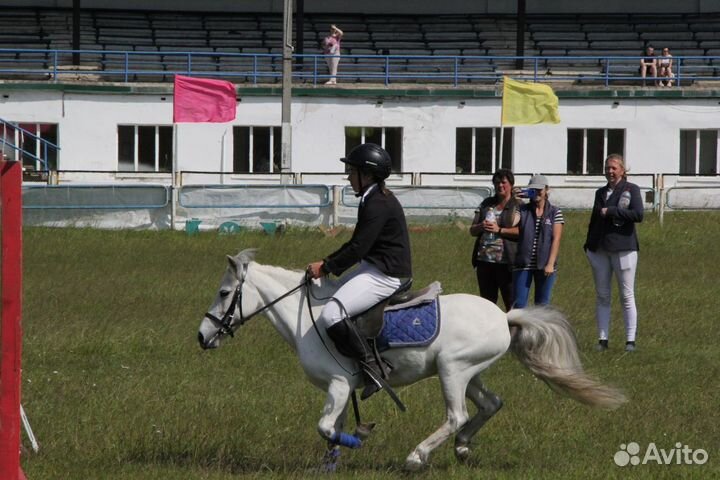 Продажа пони