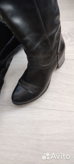 Сапоги женские