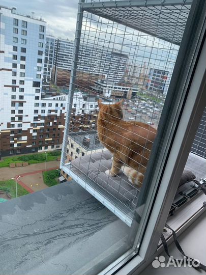Балкон для кота