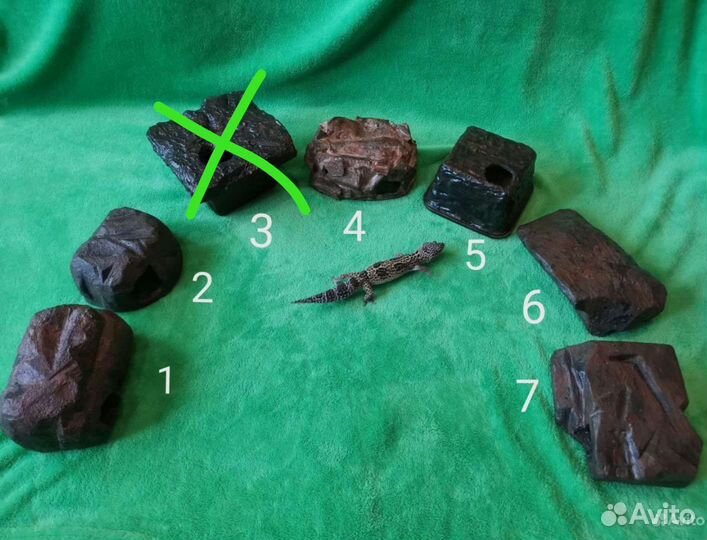 Укрытие домик влажная камера для эублефара