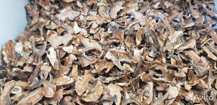 Перегородки грецкого ореха