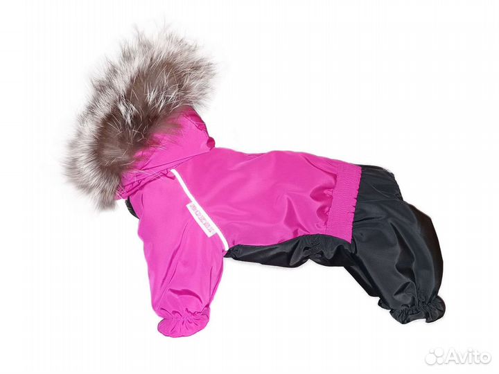 Шью для собак