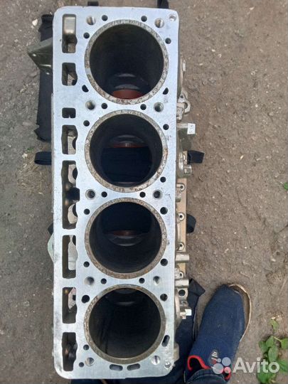 Блок цилиндров эвотек Газель Некст