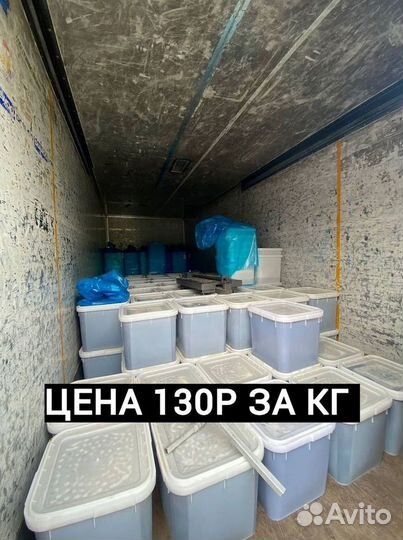 Мед оптом от 500кг