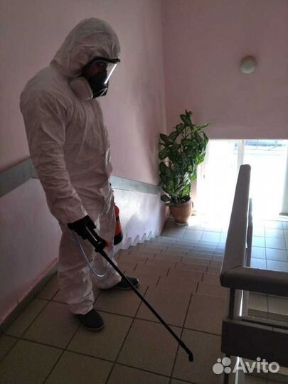 Уничтожение тараканов, клопов, блох, клещей