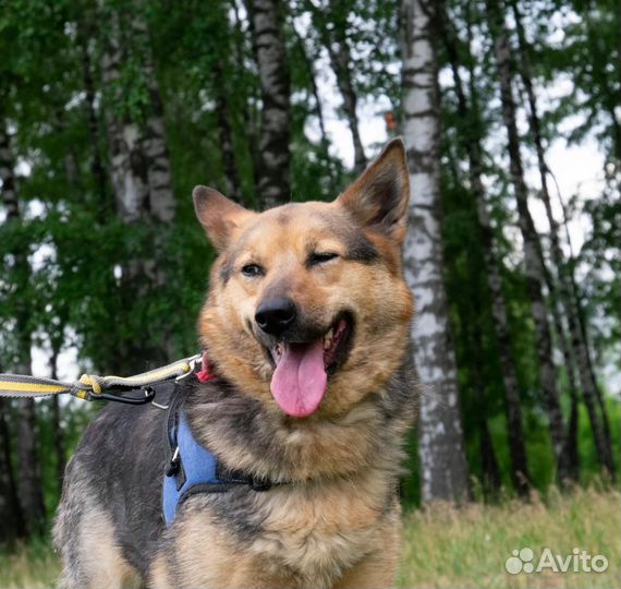 Илай мечтает о доме