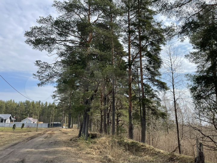 Участок 10,2 сот. (СНТ, ДНП)