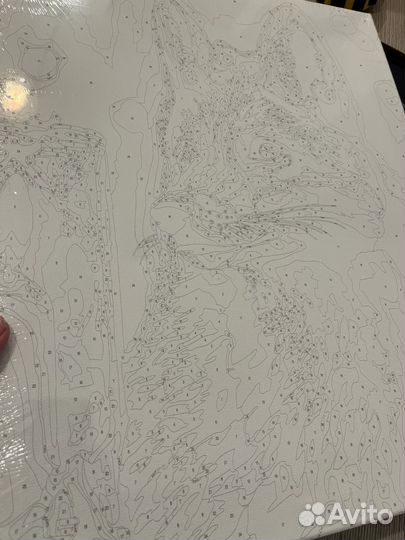 Картина по номерам новая 40х50