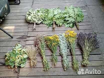 Дубовые И берёзовые веники для бани И сауны