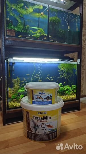 Корм для аквариумных рыб