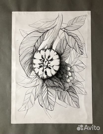 Картина «Нойна. Сахарное яблоко»