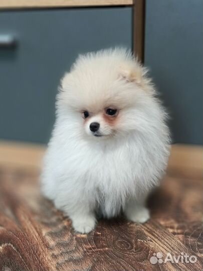 Кремовая малышка