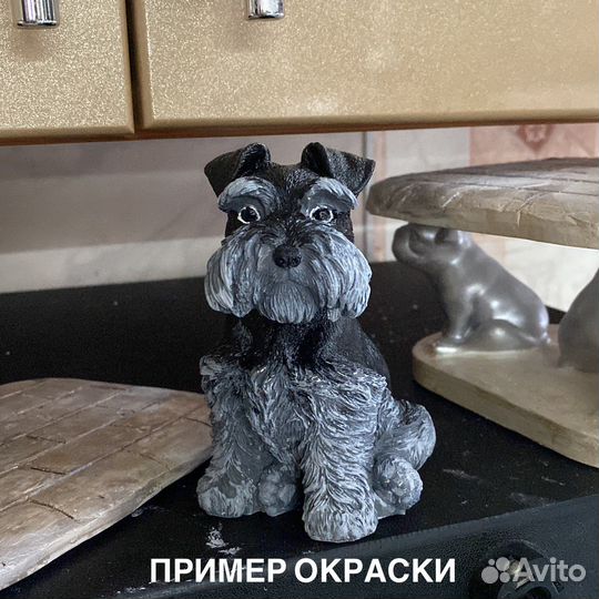 Цвергшнауцер