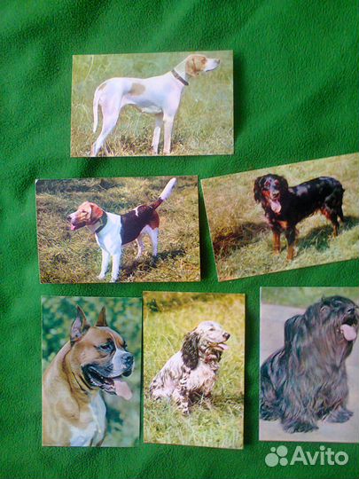 Почтовые открытки 