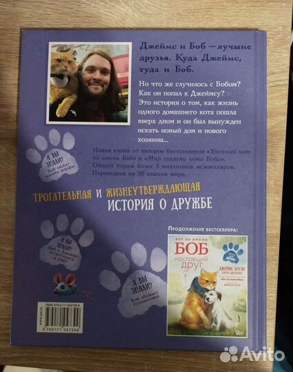 Детская книга кот по имени Боб с иллюстрациями