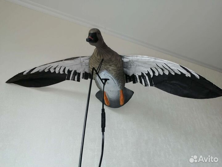 Чучело гуся махокрыла duck mania