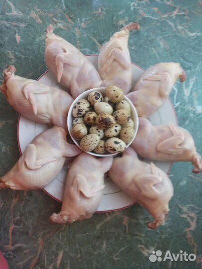 Мясо и яйцо перепелов