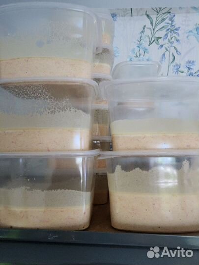 Живой корм для малька рыб - нематода