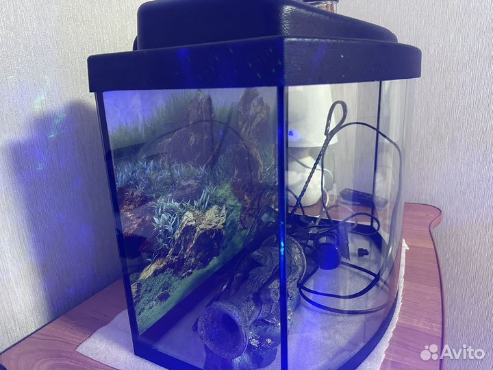 Аквариум