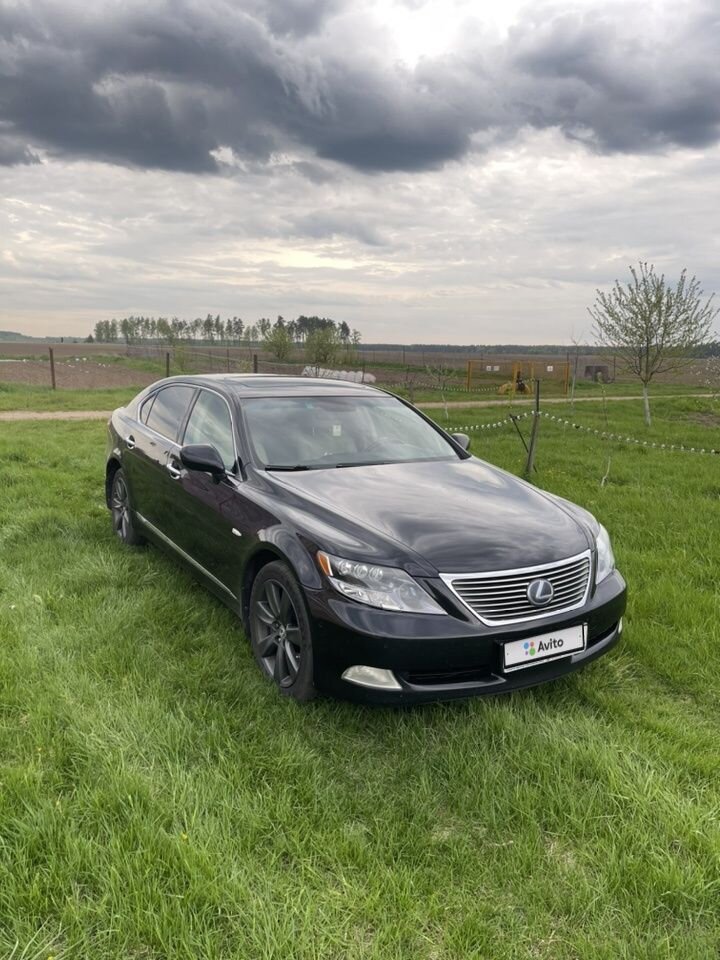 Lexus LS: фото владельца