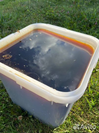 Алтайский мед оптом 2023