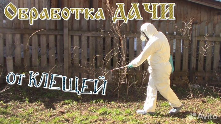 Акарицидная обработка участка от клещей