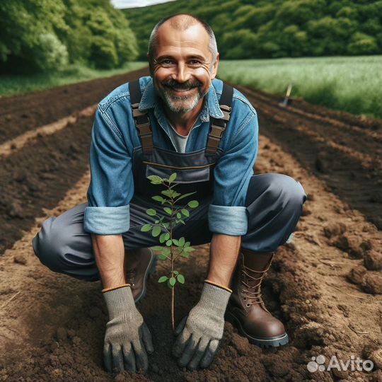 Инвестиции в землю от 100тысР пассивный доход