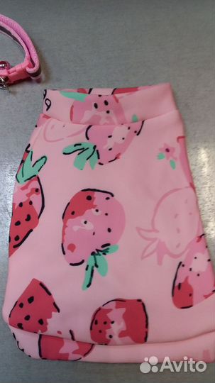 Одежда для маленьких собак