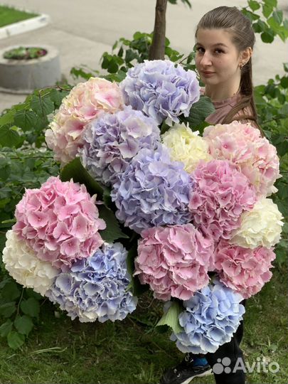 Гортензии Букет цветов Доставка