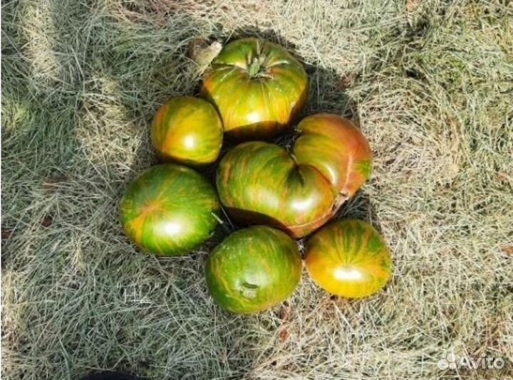 Семена томата Большой Полосатый Кабан