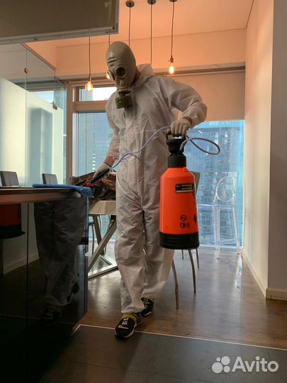 Дезинфекция