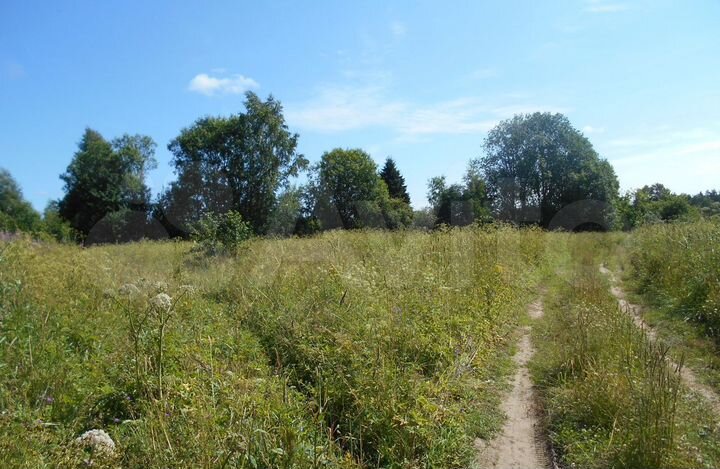 Участок 43 сот. (СНТ, ДНП)