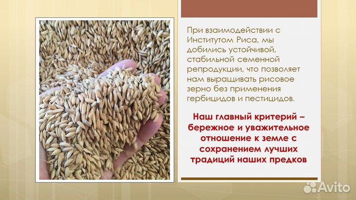 Рис для суши и плова